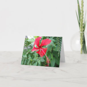 Costa Ricaanse prachtige flora Kaart