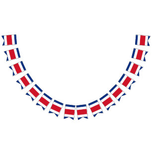 Costa Ricaanse vlag Vlaggetjes