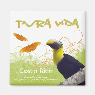 Costa Rican Pura Vida Magnet Magneet