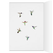 Costa's Hummingbird Birthday Kaart (Binnen (Links))
