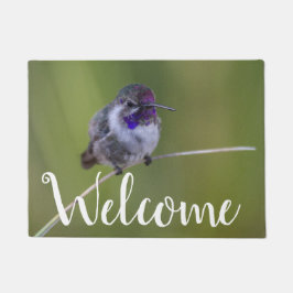 Costa's Hummingbird in augustus licht Deurmat