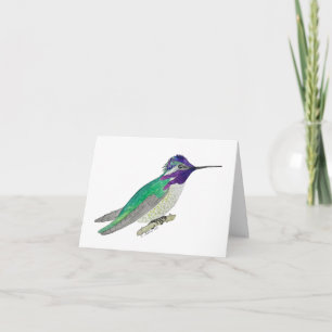 Costa's Hummingbird Kaart