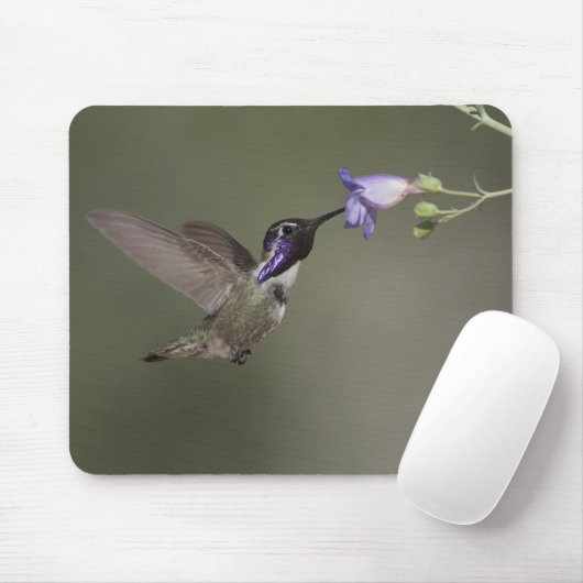 Costa's Hummingbird Mousepad Muismat (Met muis)
