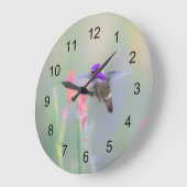 Costa's Hummingbird op nadering Grote Klok (Hoek)