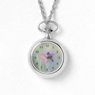 Costa's Hummingbird op nadering Horloge