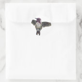 Costa's Hummingbird Ronde Sticker (Tas)