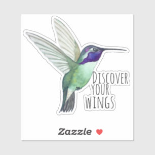 Costa's Hummingbird Sticker
