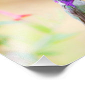 Costa's kolibrie onder de loof foto afdruk (Hoek)