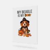 Costume d'Halloween beagle Mon Beagle est Mon Chie (Angle)