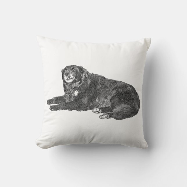 Cosy Black Dog Coussin pour Décor Automne (Recto)
