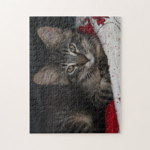 Cosy Cat Caspian Puzzle