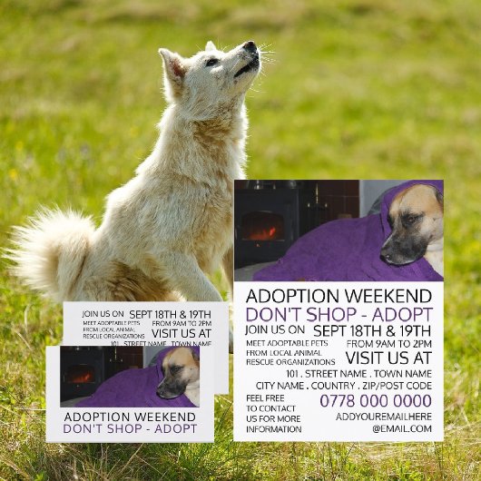 Cosy Dog, Advertentie voor evenement voor het adop Flyer