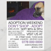 Cosy Dog, Advertentie voor evenement voor het adop Flyer (Voorkant)