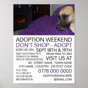 Cosy Dog, Pet Adoption Event Advertising Poster