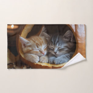 Cosy Kittens Snuggle dans un Citrouille