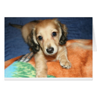 côte à côte ou à distance