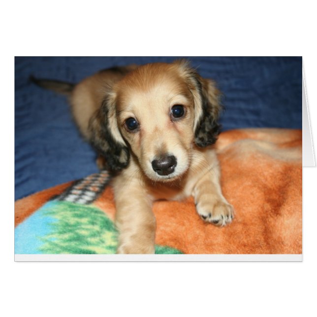 côte à côte ou à distance (Devant horizontal)