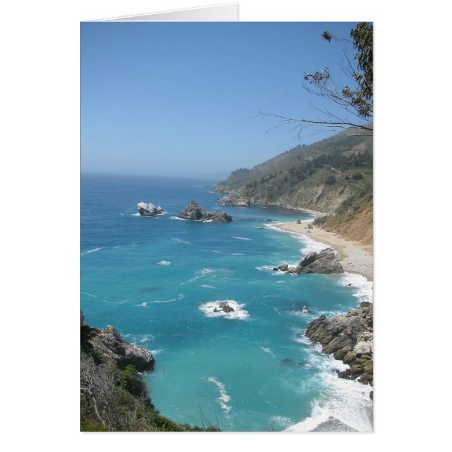 Côte de Californie (Devant)