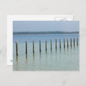 Côte du Golfe - Passons la carte postale (Devant / Derrière)