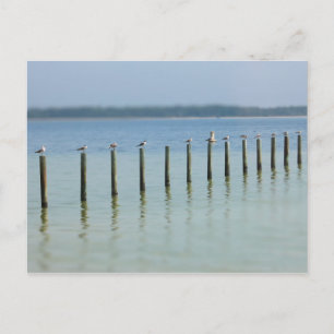 Côte du Golfe - Passons la carte postale