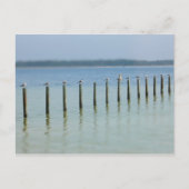 Côte du Golfe - Passons la carte postale (Devant)