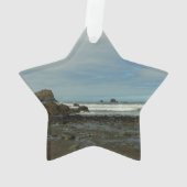 Côte du Pacifique à Redwood National Park (dos)