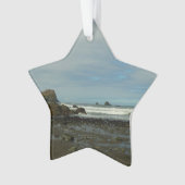 Côte du Pacifique à Redwood National Park (devant)