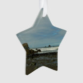 Côte du Pacifique à Redwood National Park (devant)