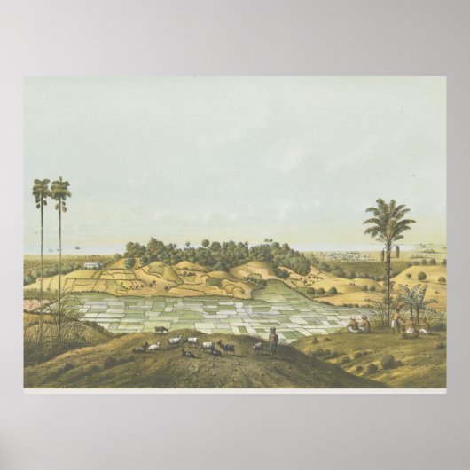 Côte nord près de Semarang Affiche (Devant)