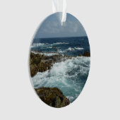 Côte rocheuse d'Aruba et océan bleu (devant)