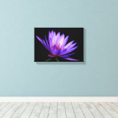 Côté sombre de la toile de la Lys d'eau (Insitu (Plancher de Bois))