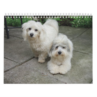 Coton Calendar Kalender