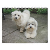 Coton Calendar Kalender (Hoes)