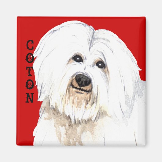 Coton Color Block Magneet (Voorkant)