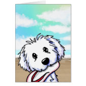 Coton de Tulear (Devant)