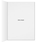 Coton de Tulear (Intérieur (Droit))