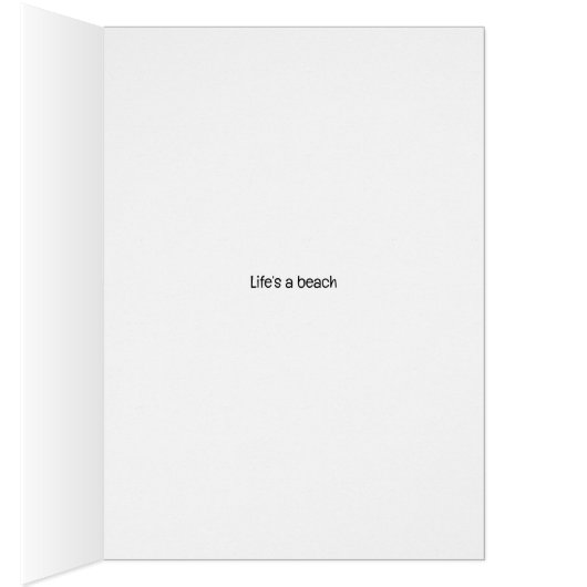 Coton de Tulear (Intérieur (Droit))