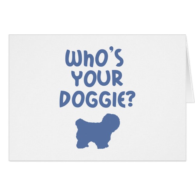 Coton de Tulear (Devant horizontal)