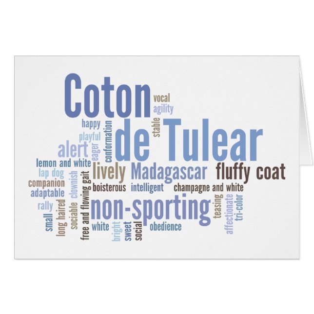 Coton de Tulear (Voorkant Horizontaal)