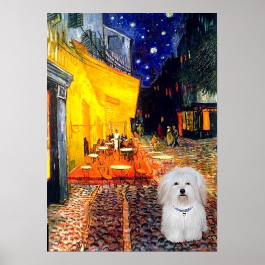 Coton de Tulear 4b - Cafe Poster (Voorkant)