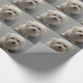 Coton de Tulear Cadeaupapier (Hoek)