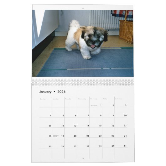 coton de tulear Calendar Kalender (Jan 2026)