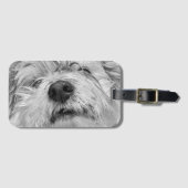 Coton de Tulear dog Bagagelabel (Voorkant (horizontaal))