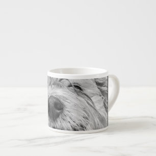 Coton de Tulear dog Espresso Kop