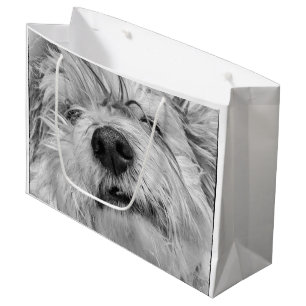 Coton de Tulear dog Groot Cadeauzakje