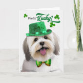 Coton de Tulear Dog Lucky St Patrick's Day Feestdagen Kaart (Voorkant)