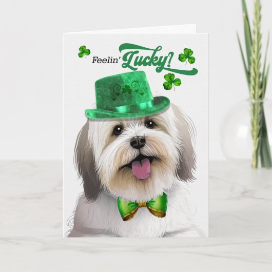 Coton de Tulear Dog Lucky St Patrick's Day Feestdagen Kaart (Voorkant)