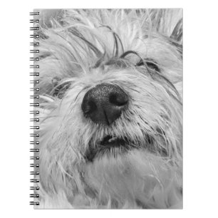Coton de Tulear dog Notitieboek