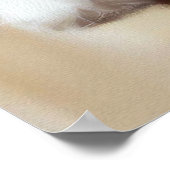 Coton de Tulear Dog Poster (Hoek)