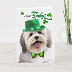 Coton de Tulear hond gelukkige St. Patrick's Day Feestdagen Kaart
